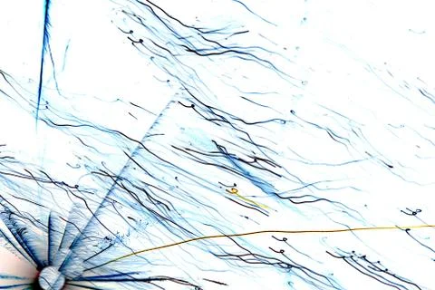 Abstract decorative Stock Photos