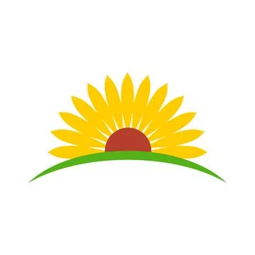 Abstract Decorative Sunflower Vector Logo Template Stock Illustration
