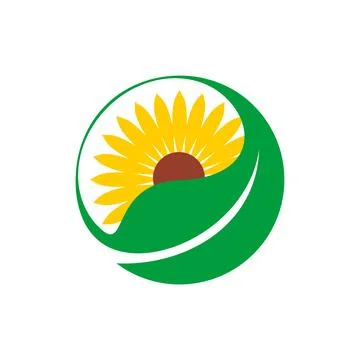 Abstract Decorative Sunflower Vector Logo Template Stock Illustration