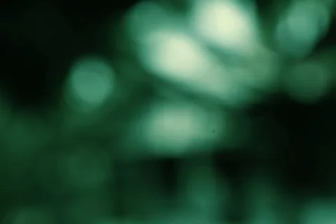 Abstract Deep Green Background with Soft Light and Blurry Shapes Stock Photos