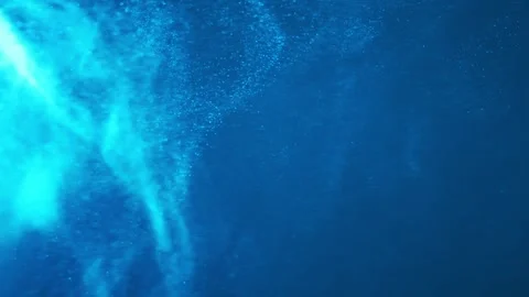 Abstract Defocuse particles blue background Stock-Footage 312916684