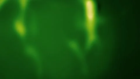 Abstract Defocuse particles green background. Stock Footage 313075138