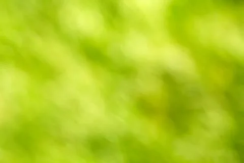 Abstract defocused green background Stock Photos