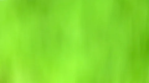 Abstract defocused green grass nature background Video stock 74726853