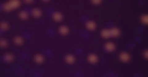 Abstract defocused light bokeh pattern on dark background Stock Photos