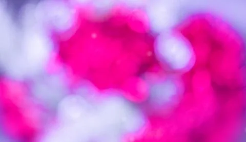 Abstract defocused lights. Soft focus image of vibrant magenta and white bl.. Stock Photos