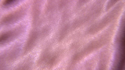 Abstract defocused pink background. The texture of silk fabric in motion. Stock Footage 129523961