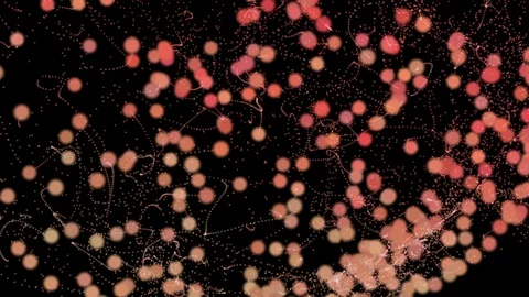 Abstract defocused yellow orange colored floating light particles. Stock Footage 106835357