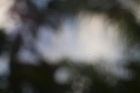 Abstract depiction of natural light diffusion, captured in a blurred enviro.. Stock Photos
