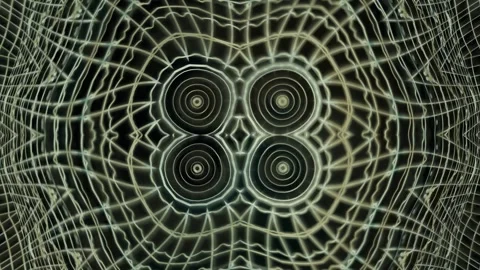 Abstract design with circular patterns and web-like Stock Footage 339806442