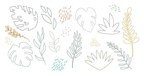 Abstract design elements set of contour exotic leaves Stockillustratie