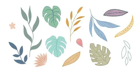Abstract design elements set of flat exotic leaves Stockillustratie
