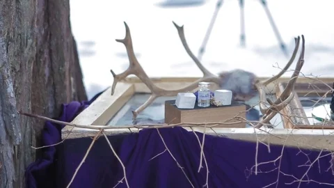 Abstract Design Exhibition in Winter Forest Stock Footage 72393314