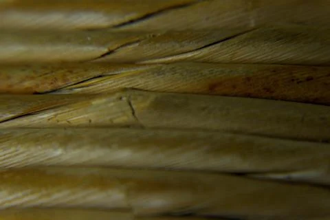 Abstract design Stock Photos