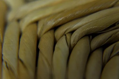 Abstract design Stock Photos