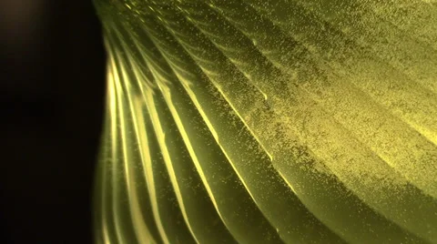 Abstract detail plastic bottle Stock Footage 39565341