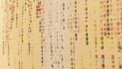 Abstract Detailed Macro Close up of Falling Binary Code on Computer Screen 스톡 동영상 219594248