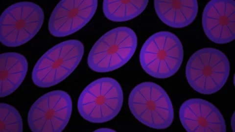 Abstract Digital Animation Featuring Pulsing Glowing Purple and Red Circula.. Stock Footage 340488438