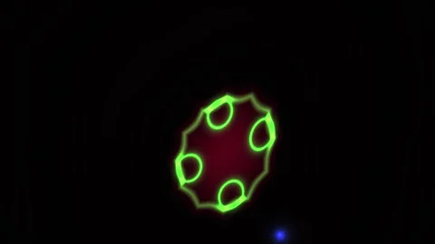 Abstract Digital Animation Featuring Pulsing Neon Geometric Shapes and Floa.. Stock Footage 341776583