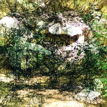 Abstract digital artwork featuring tangled black line patterns layered over text Foto stock