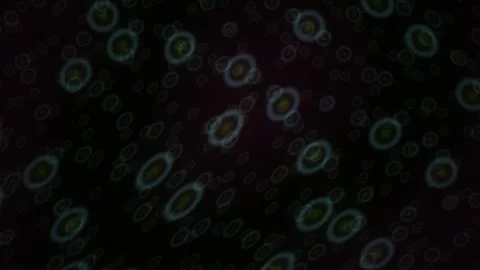 Abstract Digital Background Featuring Glowing Neon Circular Patterns Floati.. Stock Footage 340489504