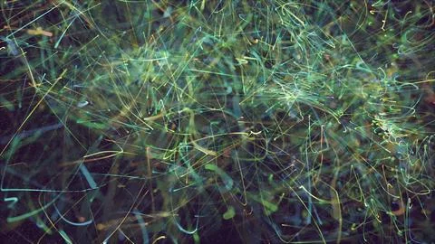 Abstract digital background Stock Photos