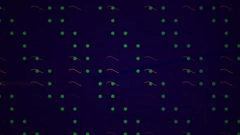 Abstract Digital Background with Pulsing Light Nodes and Data Flow Lines. Stock Footage 341779073