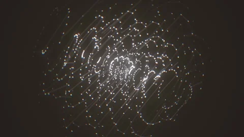 Abstract Digital Black And White Network Technology Background Stock Footage 338994285