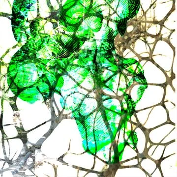 Abstract digital collage featuring overlapping green textures, intricate branch Stock Illustration