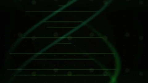 Abstract Digital DNA Helix Animation Rotating on Dark Background. Stock Footage 341779371