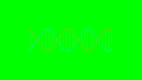 Abstract digital dna strand animation against a vibrant green screen backgrou Stock Footage 340266237
