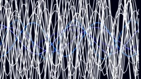 Abstract digital energy flow background loop, neon lines on black Stock Footage 342158618
