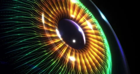 Abstract digital eye iris with glowing fiber optic lines. Stock Footage 331861919