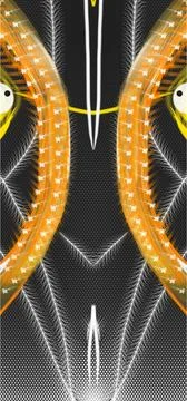 Abstract digital eye pattern with glowing curves for futuristic themes. Stock Illustration