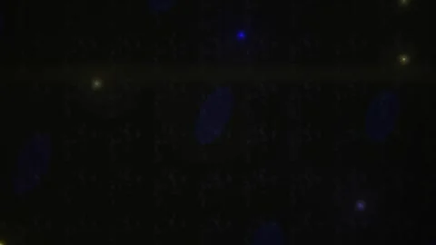 Abstract Digital Glitch Background with Flickering Light Particles and Dark.. Stock Footage 341779755