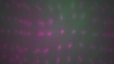 Abstract digital glowing pink laser dots pattern on dark background loop. Stock Footage 346326017