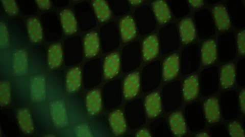 Abstract Digital Green Grid Motion Background with Glowing Geometric Patterns Stock Footage 340500564