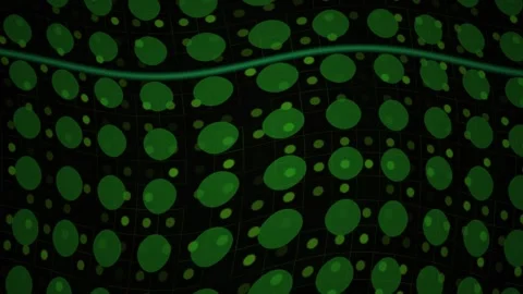 Abstract Digital Grid with Pulsing Green Light Nodes and Flowing Data Lines. Stock Footage 341783258