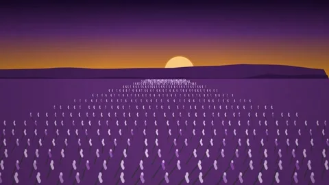 Abstract digital landscape with binary code data stream Video stock 346966607