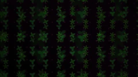 Abstract Digital Matrix Background with Glowing Green Geometric Shapes. Stock Footage 340505313
