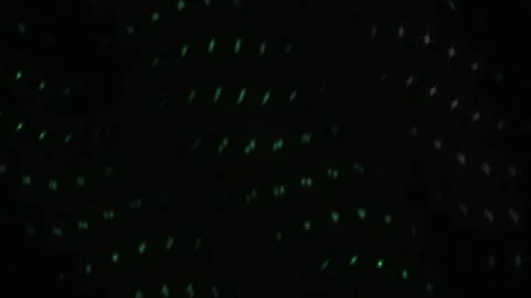 Abstract Digital Mesh Wave of Glowing Green and White Light Nodes on Black .. Stock Footage 343686216
