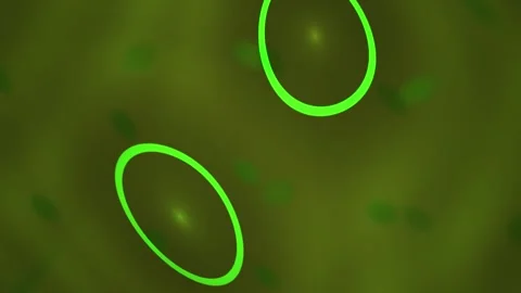 Abstract Digital Motion Graphics Featuring Glowing Green Circular Orbits an.. Stock Footage 340507919