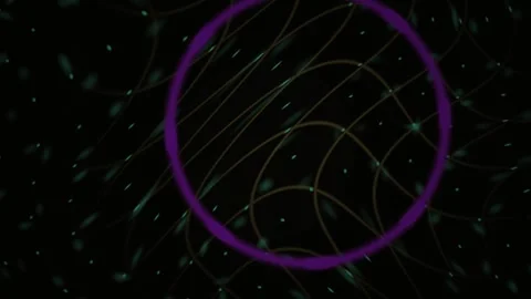 Abstract Digital Network Animation with Glowing Nodes and Interconnected Line Stock Footage 341785518