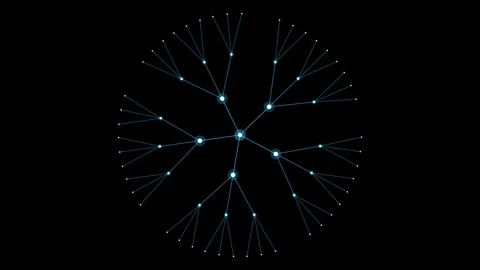 Abstract Digital Network Connecting Nodes and Lines on Black Background Vídeos de archivo 344353237