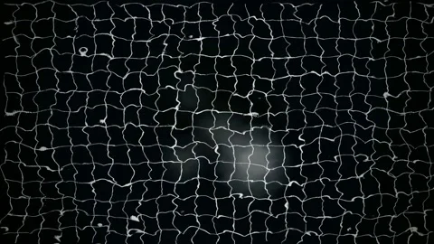 Abstract digital network of glowing white lines and nodes on a dark black 스톡 동영상 346204455