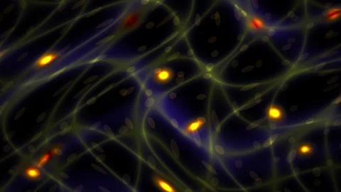 Abstract Digital Network Visualization with Glowing Nodes and Interconnecte.. Stock Footage 340510191