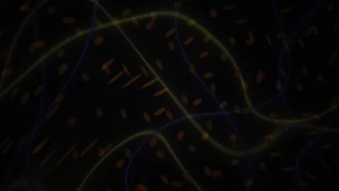 Abstract Digital Network Visualization with Glowing Flowing Lines and Parti.. Stock Footage 341785861