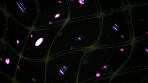Abstract Digital Network Visualization with Glowing Nodes and Interconnecte.. Video stock 341785978