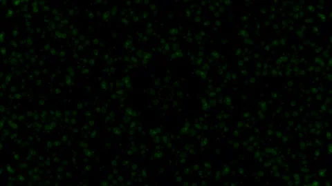 Abstract digital noise static background on black screen glitch effect tech.. Stock Footage 339488128