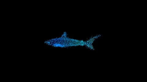 Abstract Digital Particle Fish Animation Stock Footage 330985320